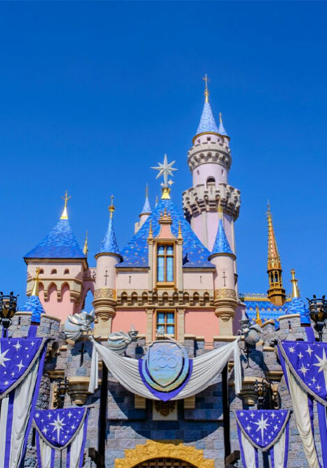 100th Anniversary Sleeping Beauty Castle Decorations (1)