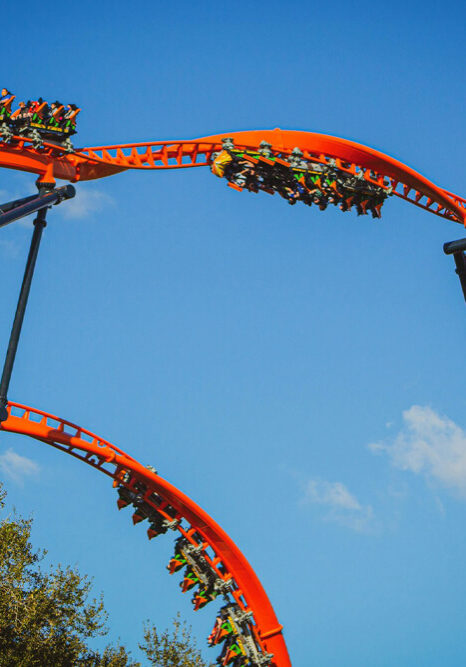 Busch Gardens Tampa Bay