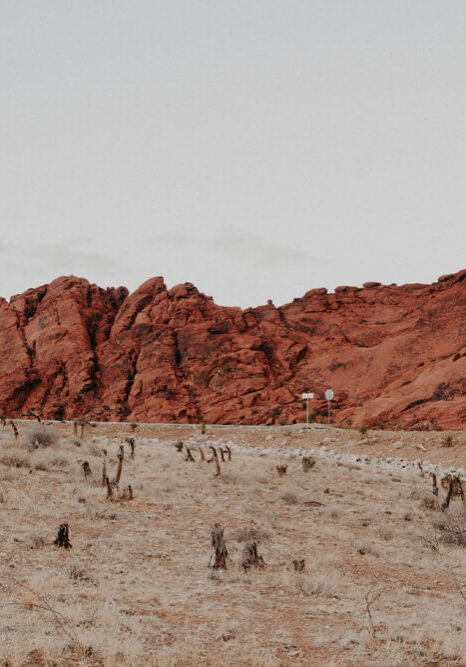 Red Rock Canyon National Conservation Area