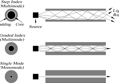 fibertypes